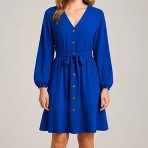 Calvin Klein Royal Blue Long Sleeve Dress